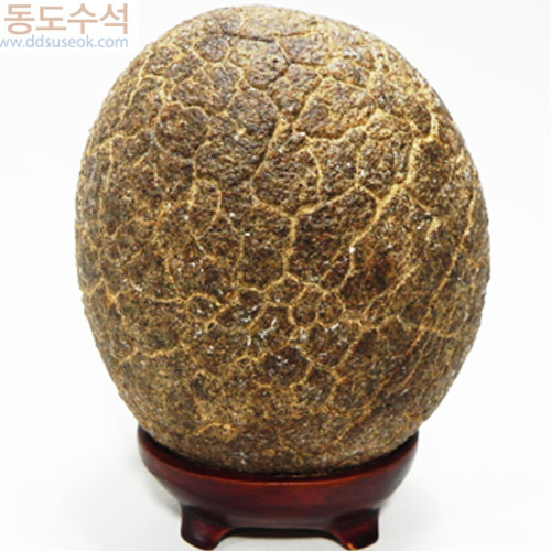 구갑석