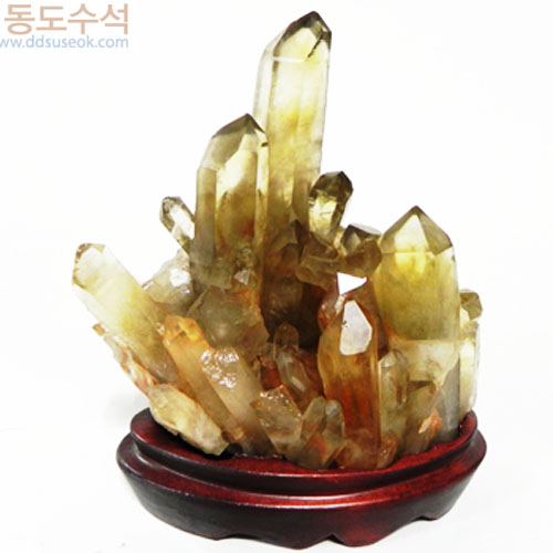 황수정