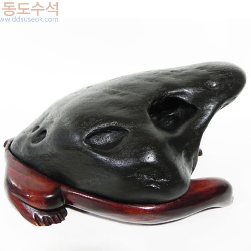 거북형상