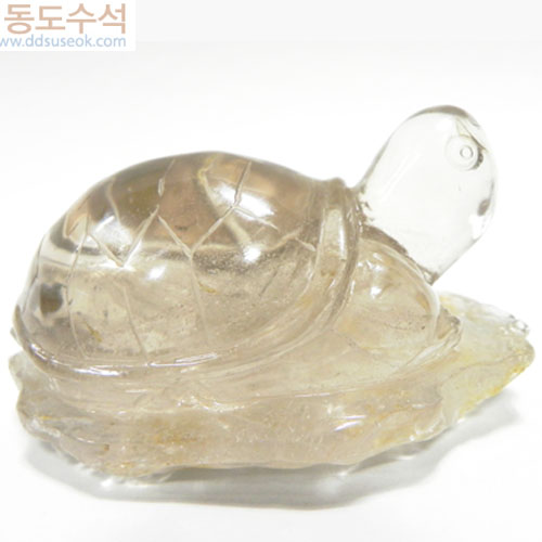 거북(수정)