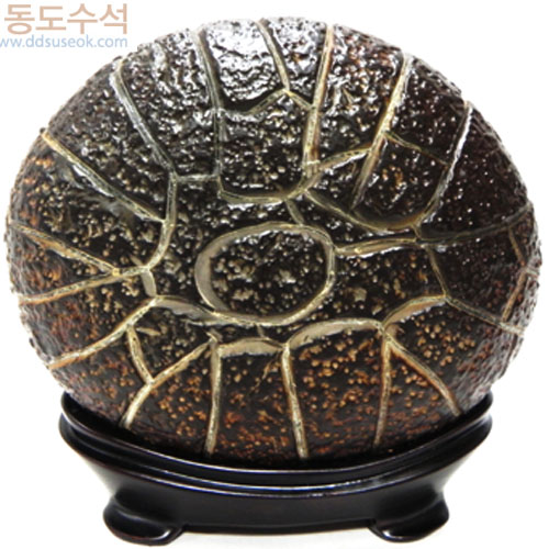 구갑석