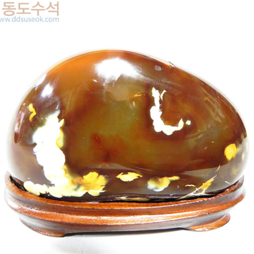 산장법사와원승이