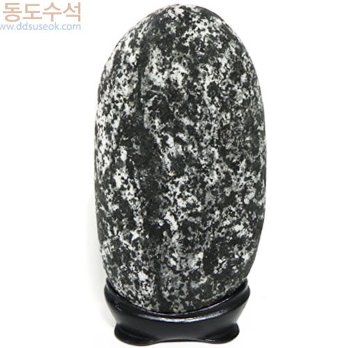 겨울나무