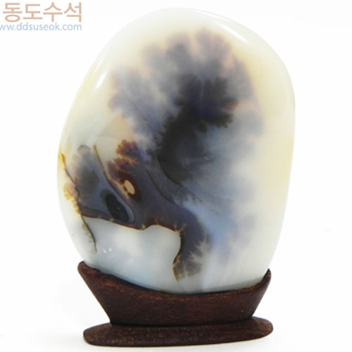 언덕위에나무