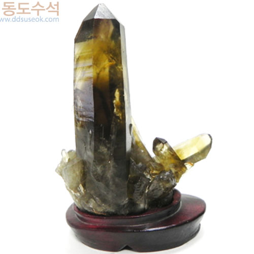 황수정