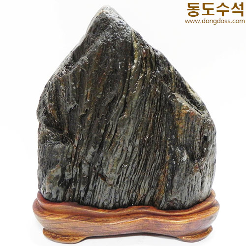 주름쬬코