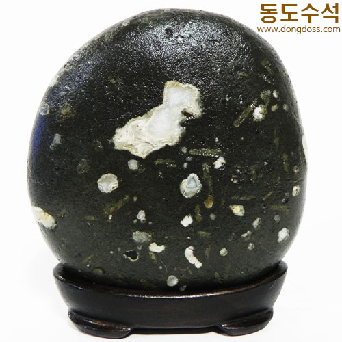 강이지