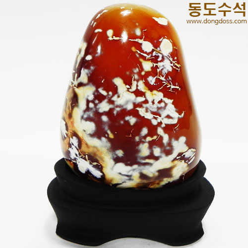 꽃동산