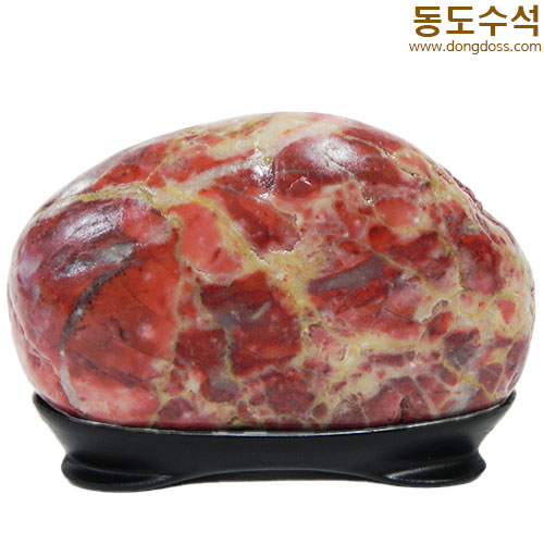 장미동산