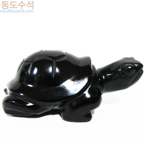 온릭스거북