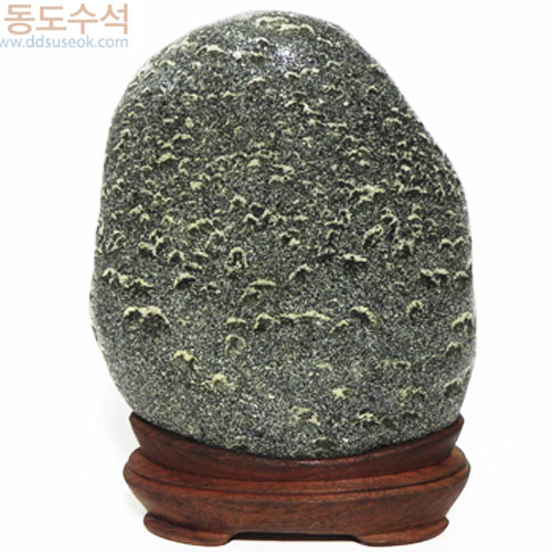 양때