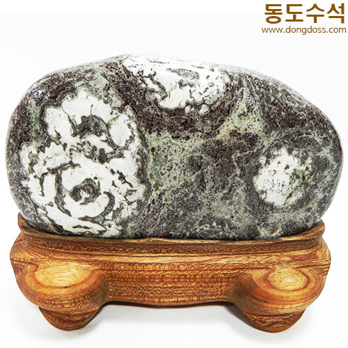 목단