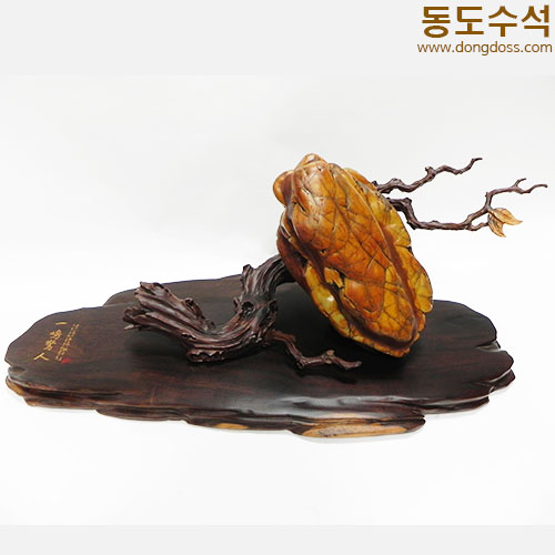 매미(타와석)