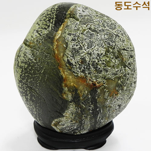매일꽃밭
