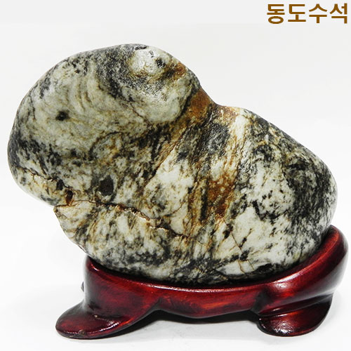 토끼(호피)