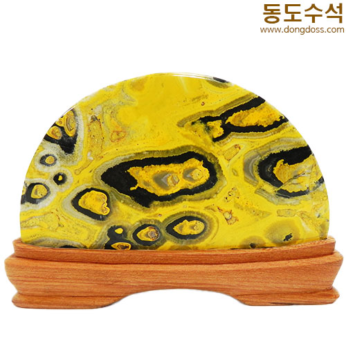 은행나무단풍