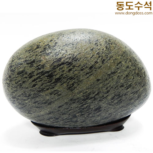 바다풍경어류때