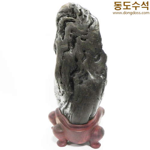 쬬코입석