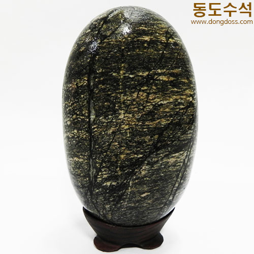 바다가나무