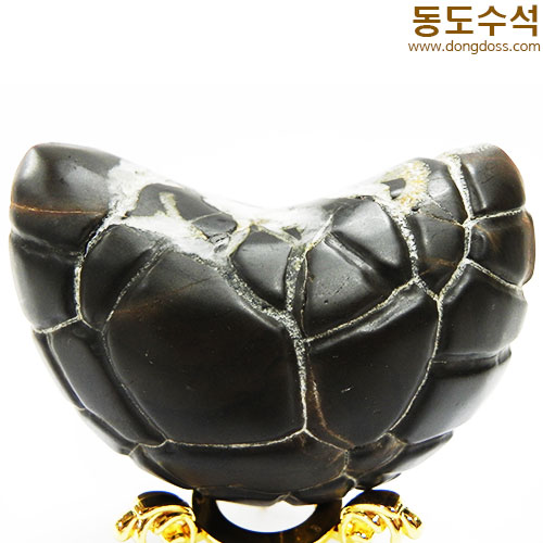 하트구갑석