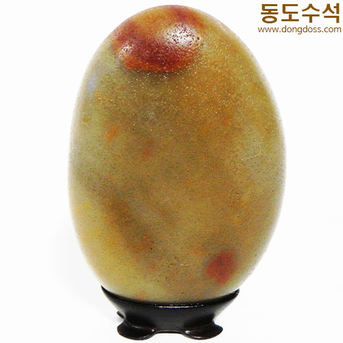 정열에태양