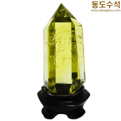 황수정