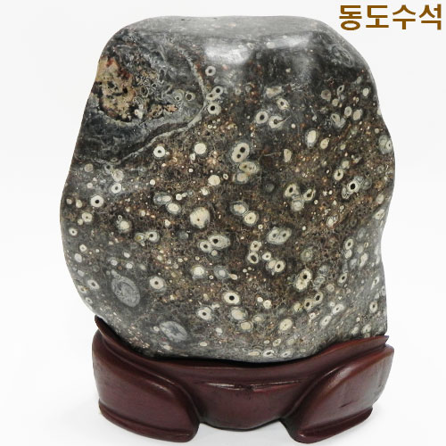 백매화