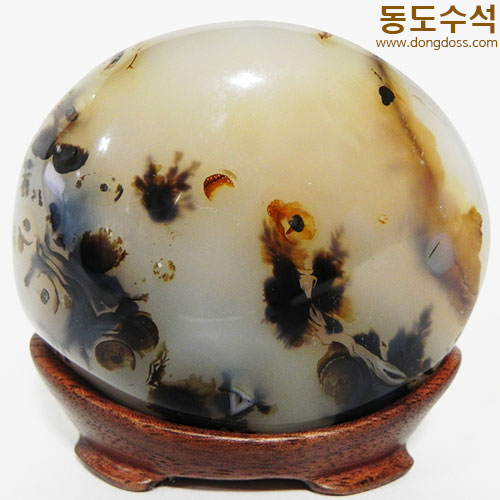 꽃동산