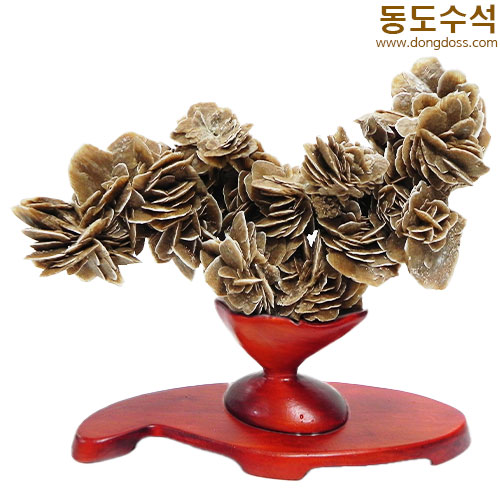 장미석화석