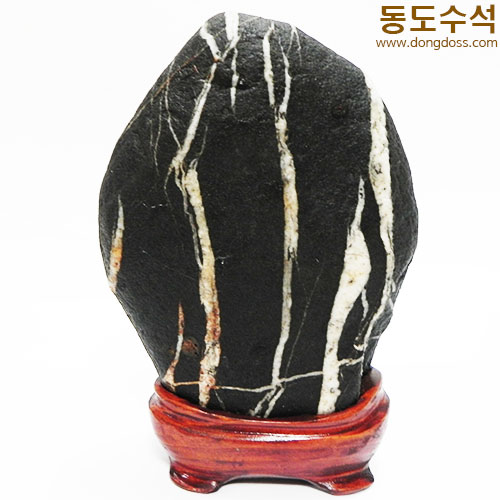 사람과나무