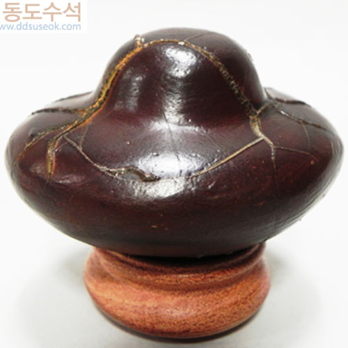 구갑석