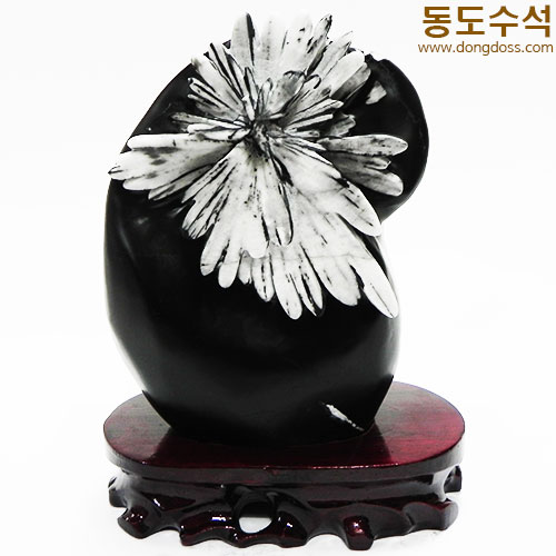 국화석