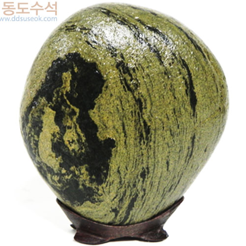 사람과동물