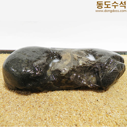 갯바위석