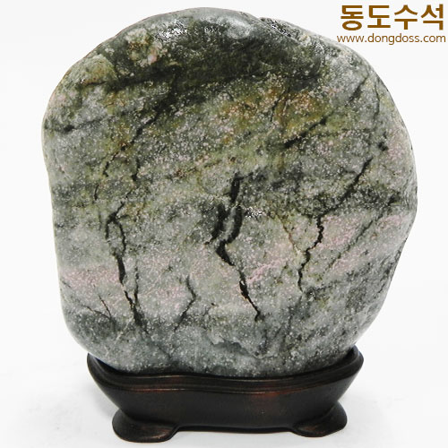 봄풍경(진달래와나무)