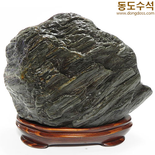 빗살쬬코