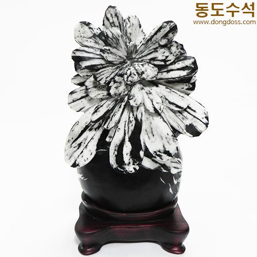 국화석(중국보호석)