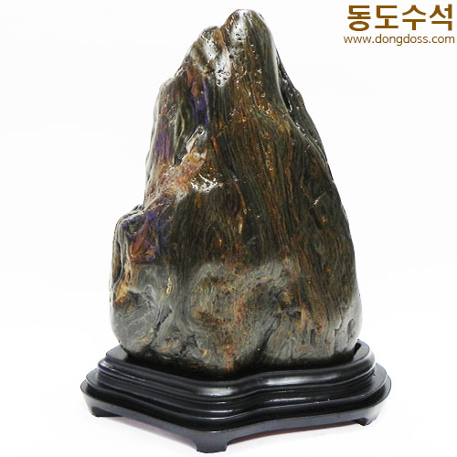 쬬코입석