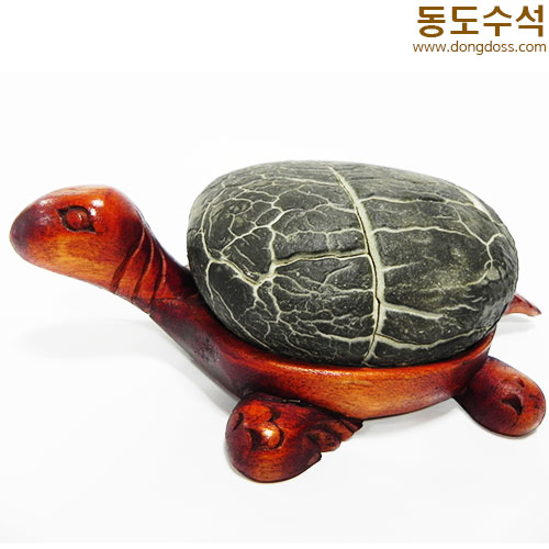 거북구갑