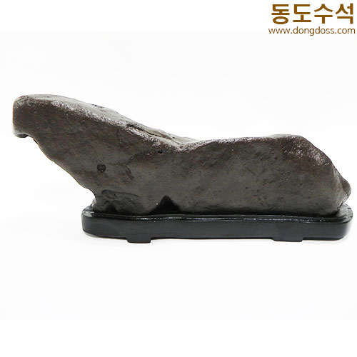 너구리
