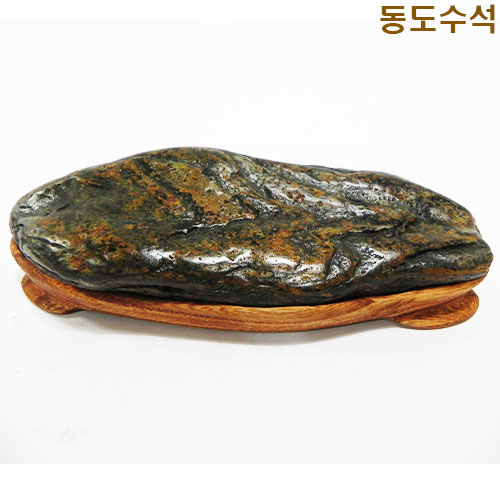 쬬코주름갯바위