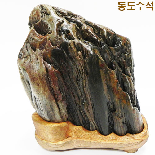 비경쬬코