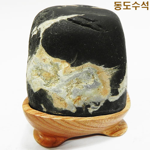 강아지