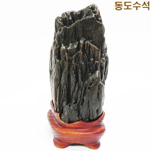 주름쬬코비경