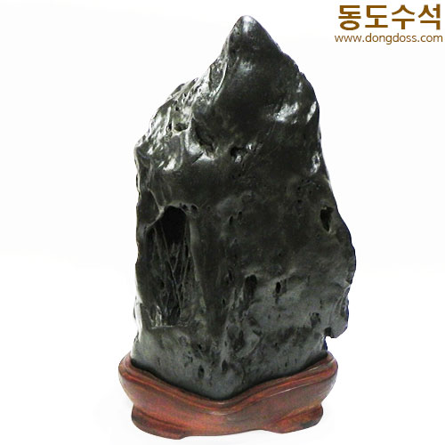 쬬코입석