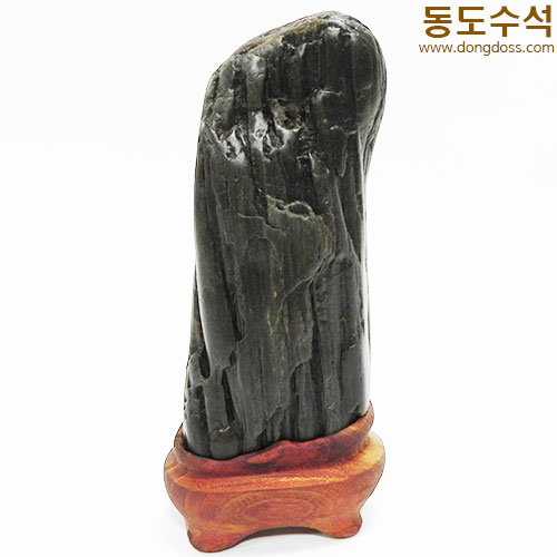 주름쬬코