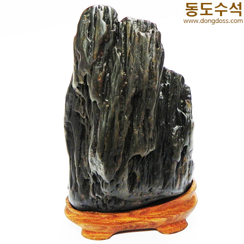 주름쬬코입석
