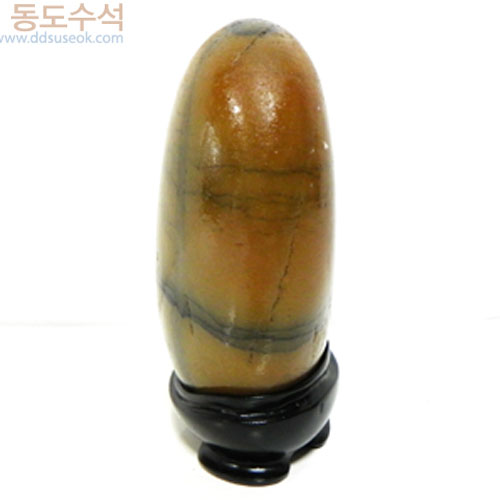 지리산주목나무