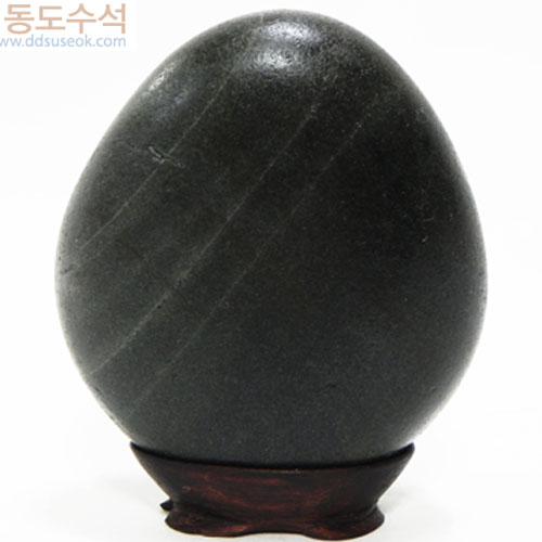 고향에푸른동산