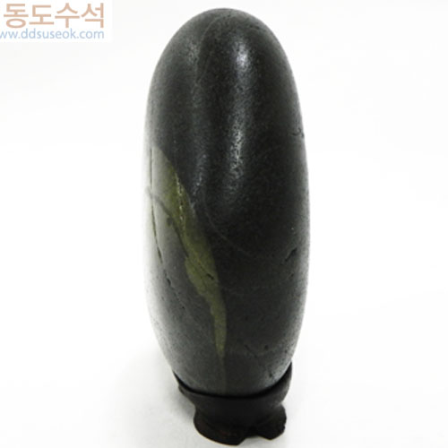 고향에푸른동산